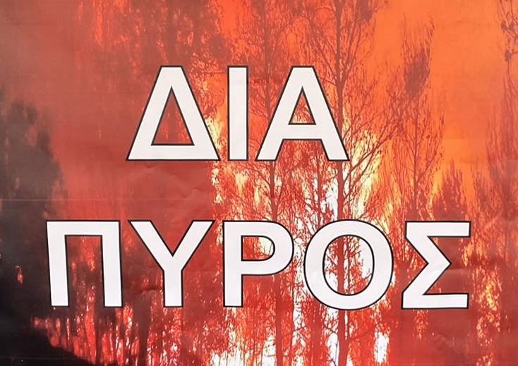  /documents/20184/0/%CE%94%CE%99%CE%91_%CE%A0%CE%A5%CE%A1%CE%9F%CE%A3_2024_+%CE%9C%CE%95%CE%A3%CE%91_%CE%95%CE%9E%CE%A9.png/942f490f-93aa-4477-afb3-ed91eb7f714a?t=1747921295890 