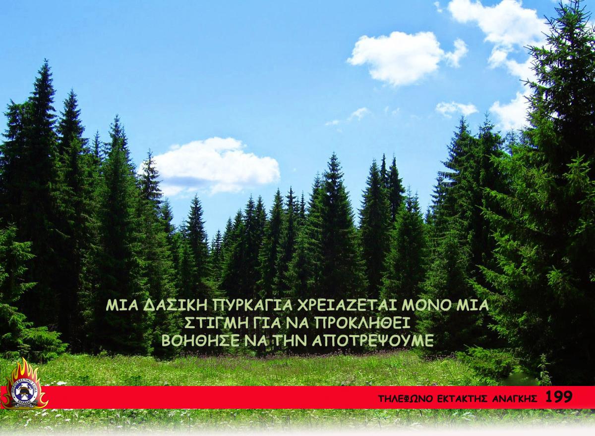 Φωτογραφία ημέρας