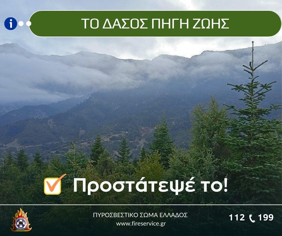 Φωτογραφία