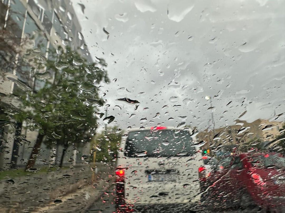  /documents/20184/4238692/unnamed.jpg/04d5776d-7ece-4977-9595-22378408614f?t=1771325489717 