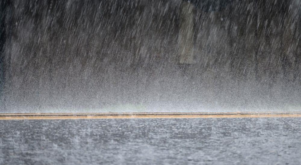  /documents/20184/652722/24_0.jpg/97a6359d-e9bb-4808-b5a8-485fd0d88b8d?t=1759908571829 